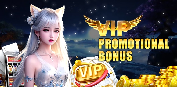VIP-Promotion